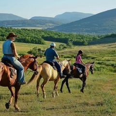 Оздоровительный комплекс Маральник Никольское, Алтайский район, Алтайский край