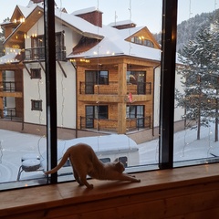 База отдыха Чыгыш, Чемальский район, Республика Алтай