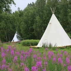 Кемпинг  Папоротник, Лахденпохский район, Республика Карелия