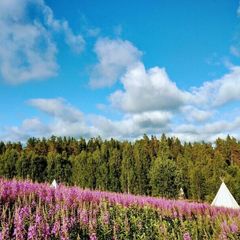 Кемпинг  Папоротник, Лахденпохский район, Республика Карелия