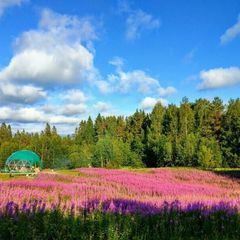 Кемпинг  Папоротник, Лахденпохский район, Республика Карелия