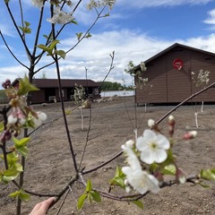 База отдыха Paradise Marina Village, Конаково, Тверская область