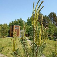 Коттеджный комплекс Дом у залива, Зеленогорск, Ленинградская область