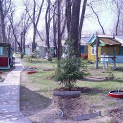 База отдыха Золотые пески, Среднеахтубинский район, Волгоградская область