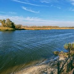 База отдыха Донская Миля, Городищенский район, Волгоградская область