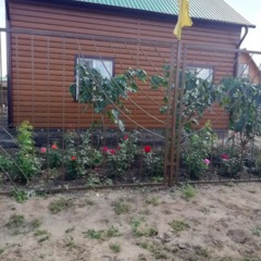 База семейного отдыха Сибириада, Завьялово, Алтайский край