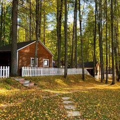 База отдыха Ильинский пляж, Можайский район, Московская область