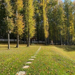 База отдыха Ильинский пляж, Можайский район, Московская область