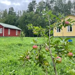 База отдыха и рыбалки Рыбацкий хутор, Высоцк, Ленинградская область