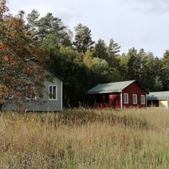 База отдыха и рыбалки Рыбацкий хутор, Высоцк, Ленинградская область
