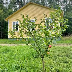 База отдыха и рыбалки Рыбацкий хутор, Высоцк, Ленинградская область