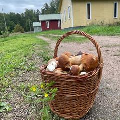 База отдыха и рыбалки Рыбацкий хутор, Высоцк, Ленинградская область