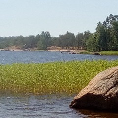 База отдыха и рыбалки Рыбацкий хутор, Высоцк, Ленинградская область
