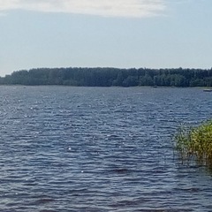 База отдыха и рыбалки Рыбацкий хутор, Высоцк, Ленинградская область