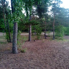 База отдыха и рыбалки Рыбацкий хутор, Высоцк, Ленинградская область