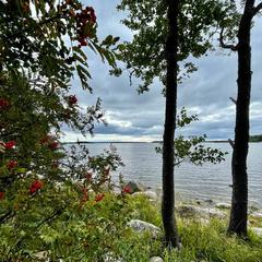 База отдыха и рыбалки Рыбацкий хутор, Высоцк, Ленинградская область