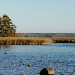 База отдыха и рыбалки Рыбацкий хутор, Высоцк, Ленинградская область