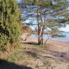 База отдыха и рыбалки Рыбацкий хутор, Высоцк, Ленинградская область