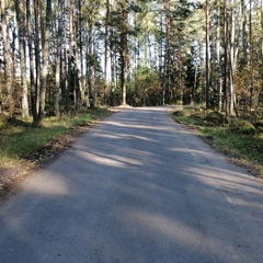 База отдыха и рыбалки Рыбацкий хутор, Высоцк, Ленинградская область