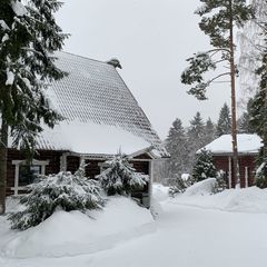 База отдыха Утиный рай, Выборгский район, Ленинградская область