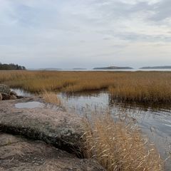 База отдыха Утиный рай, Выборгский район, Ленинградская область