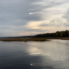 База отдыха Утиный рай, Выборгский район, Ленинградская область