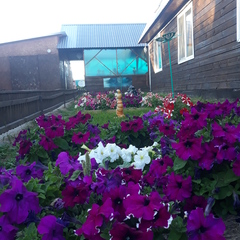 Гостевой комплекс Катрин и Беатриче, Новое Ильинское, Курганская область