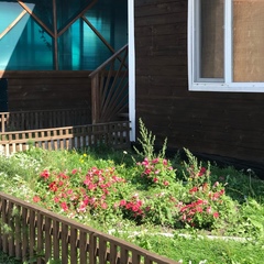 Гостевой комплекс Катрин и Беатриче, Новое Ильинское, Курганская область