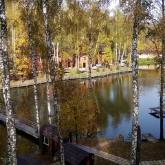 База отдыха Золотая рыбка, Раменский район, Московская область