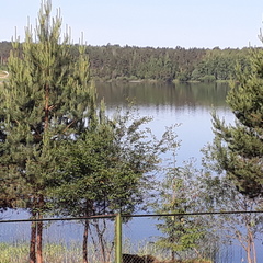 Гостевой дом в Пашково, село Еремейцево, Ярославская область