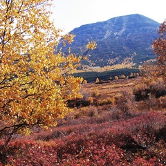 База отдыха Алтай, Эссо, Камчатский край