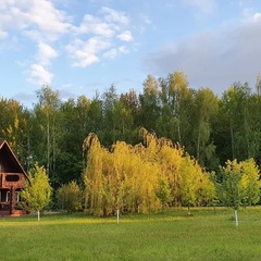 Эко-отель Настасьино Хуторок, Венев, Тульская область