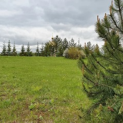 Эко-отель Настасьино Хуторок, Венев, Тульская область