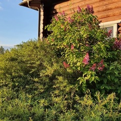 Эко-отель Настасьино Хуторок, Венев, Тульская область