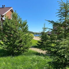 База отдыха На волне, Брейтовский район, Ярославская область