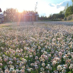 База отдыха На волне, Брейтовский район, Ярославская область