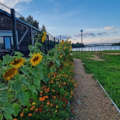 База отдыха На волне, Брейтовский район, Ярославская область