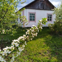 Гостевой дом К бабушке, в деревню, Куйбышев, Алтайский край