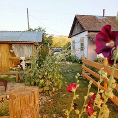 Гостевой дом К бабушке, в деревню, Куйбышев, Алтайский край