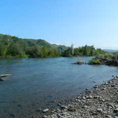 Гостевой дом К бабушке, в деревню, Куйбышев, Алтайский край