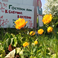 Гостевой дом К бабушке, в деревню, Куйбышев, Алтайский край