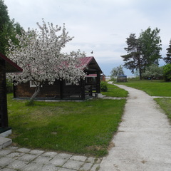 Кемпинг  Анохово, Печки, Псковская область