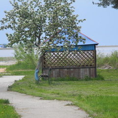 Кемпинг  Анохово, Печки, Псковская область
