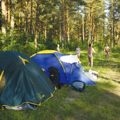 Кемпинг  Анохово, Печки, Псковская область