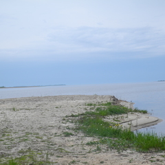 Кемпинг  Анохово, Печки, Псковская область