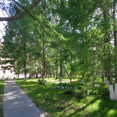 Санаторий Красная Глинка, Южный, Самарская область