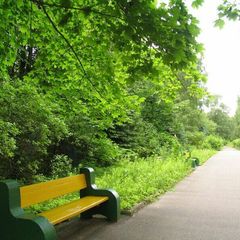 Санаторий Сосны ВОС, Быково (Московская область), Московская область