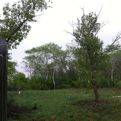 База отдыха Дон Рива, Рюмино-Красноярский, Волгоградская область