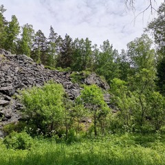 Гостевой дом Кинтереп, Новосибирская область