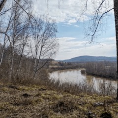 Гостевой дом Кинтереп, Новосибирская область